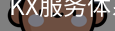 KX服务体系